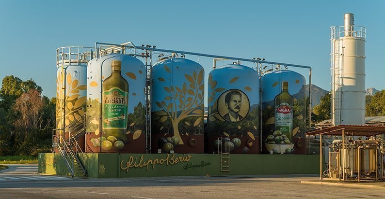 Salov plant